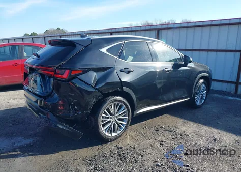 2025 Lexus Nx 350 Luxury из США, поврежденный, VIN 2T2HGCEZ8SC069997